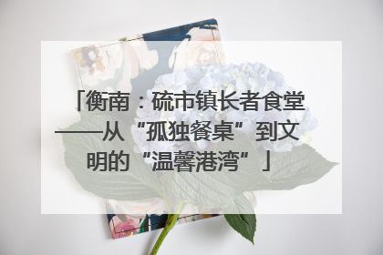 衡南：硫市镇长者食堂——从“孤独餐桌”到文明的“温馨港湾”