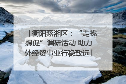 衡阳蒸湘区：“走找想促”调研活动 助力外经贸事业行稳致远