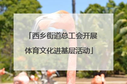 西乡街道总工会开展体育文化进基层活动
