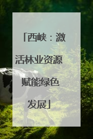 西峡：激活林业资源 赋能绿色发展
