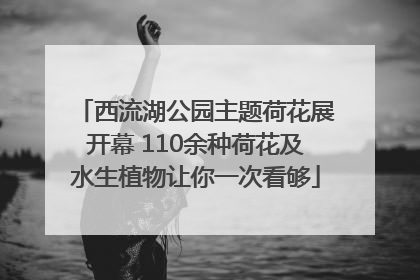 西流湖公园主题荷花展开幕 110余种荷花及水生植物让你一次看够