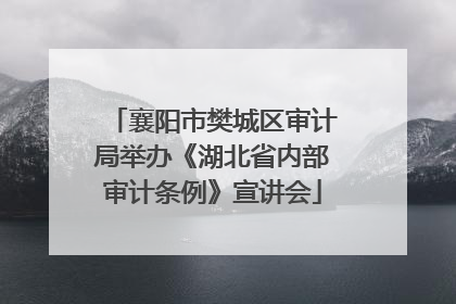 襄阳市樊城区审计局举办《湖北省内部审计条例》宣讲会