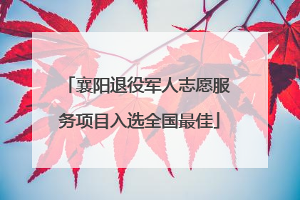 襄阳退役军人志愿服务项目入选全国最佳