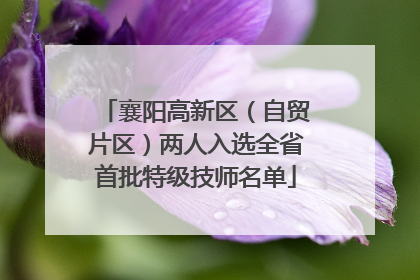 襄阳高新区（自贸片区）两人入选全省首批特级技师名单