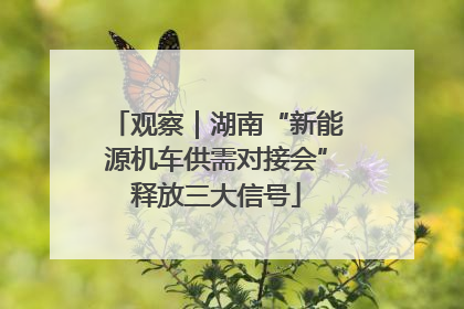 观察｜湖南“新能源机车供需对接会”释放三大信号