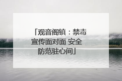 观音阁镇：禁毒宣传面对面 安全防范驻心间
