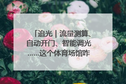 追光｜流量测算、自动开门、智能调光……这个体育场馆咋这么先进？
