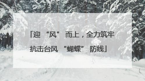 迎 “风” 而上，全力筑牢抗击台风 “蝴蝶” 防线