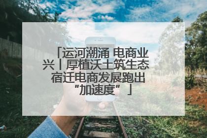 运河潮涌 电商业兴丨厚植沃土筑生态 宿迁电商发展跑出“加速度”
