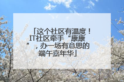 这个社区有温度！IT社区牵手“康康”，办一场有意思的端午嘉年华