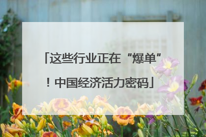 这些行业正在“爆单”！中国经济活力密码