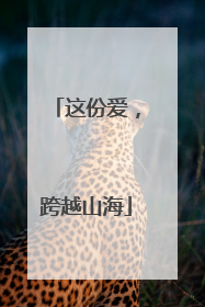 这份爱，跨越山海