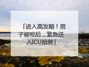 进入高发期！男子被咬后，紧急送入ICU抢救