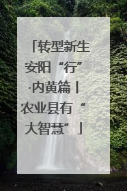 转型新生安阳“行”·内黄篇丨农业县有“大智慧”