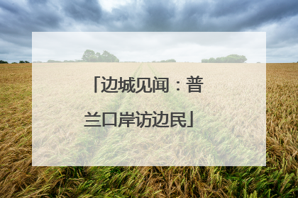 边城见闻：普兰口岸访边民