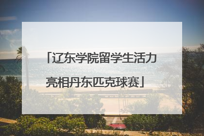 辽东学院留学生活力亮相丹东匹克球赛