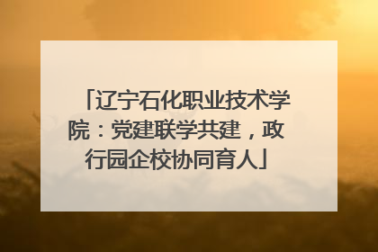 辽宁石化职业技术学院：党建联学共建，政行园企校协同育人