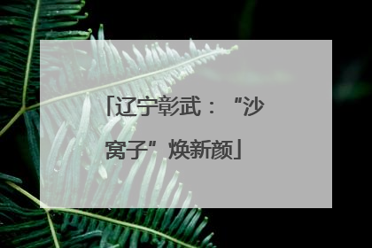 辽宁彰武：“沙窝子”焕新颜