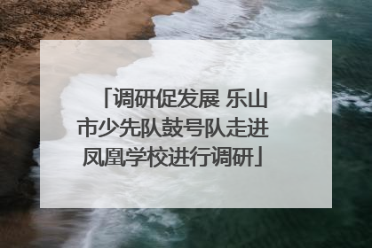 调研促发展 乐山市少先队鼓号队走进凤凰学校进行调研