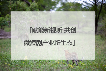 赋能新视听 共创微短剧产业新生态