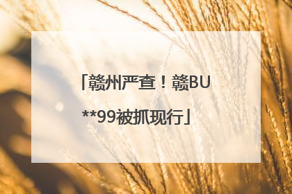 赣州严查！赣BU**99被抓现行