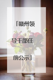 赣州领导干部任前公示