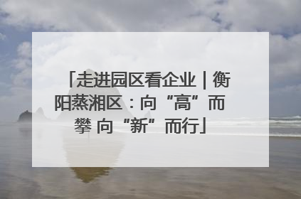 走进园区看企业｜衡阳蒸湘区：向“高”而攀 向“新”而行