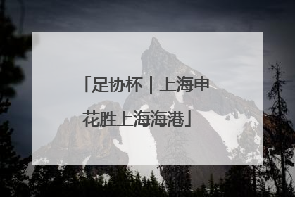 足协杯｜上海申花胜上海海港