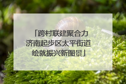 跨村联建聚合力 济南起步区太平街道绘就振兴新图景