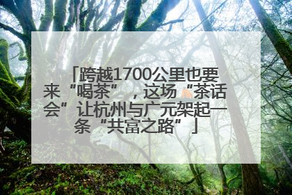 跨越1700公里也要来“喝茶”，这场“茶话会”让杭州与广元架起一条“共富之路”