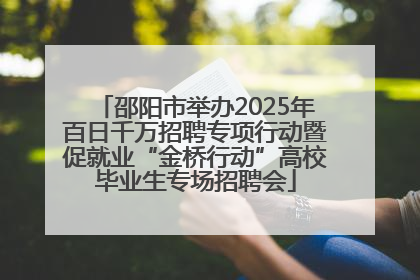 邵阳市举办2025年百日千万招聘专项行动暨促就业“金桥行动”高校毕业生专场招聘会