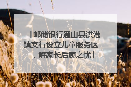 邮储银行通山县洪港镇支行设立儿童服务区，解家长后顾之忧