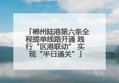 郴州陆港第六条全程提单线路开通 践行“区港联动” 实现“半日通关”