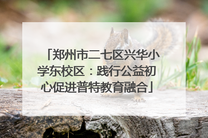 郑州市二七区兴华小学东校区：践行公益初心促进普特教育融合