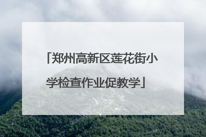 郑州高新区莲花街小学检查作业促教学