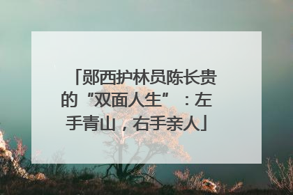 郧西护林员陈长贵的“双面人生”：左手青山，右手亲人