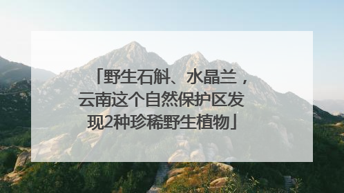 野生石斛、水晶兰，云南这个自然保护区发现2种珍稀野生植物