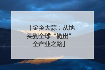 金乡大蒜：从地头到全球“链出”全产业之路