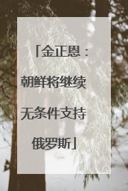 金正恩：朝鲜将继续无条件支持俄罗斯