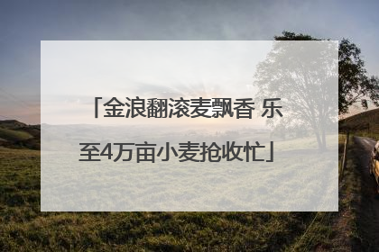 金浪翻滚麦飘香 乐至4万亩小麦抢收忙