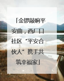 金锣敲响平安曲，西厂口社区“平安合伙人”携手共筑幸福家