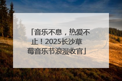 音乐不息，热爱不止！2025长沙草莓音乐节浪漫收官
