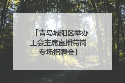 青岛城阳区举办工会主席直播带岗专场招聘会