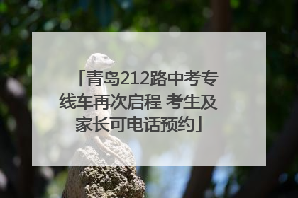 青岛212路中考专线车再次启程 考生及家长可电话预约