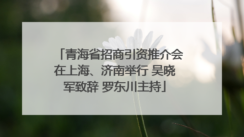 青海省招商引资推介会在上海、济南举行 吴晓军致辞 罗东川主持