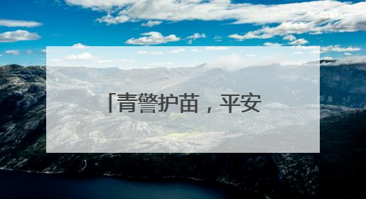 青警护苗，平安启程！武汉青山交警开展交通安全宣传进校园活动