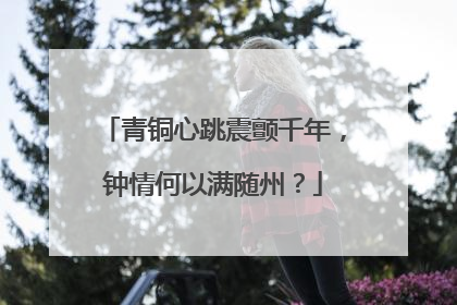 青铜心跳震颤千年，钟情何以满随州？