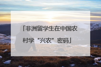非洲留学生在中国农村学“兴农”密码