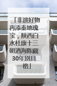 非遗好物再添秦地瑰宝，陕西白水杜康十三朝酒海陈藏30年别具一格