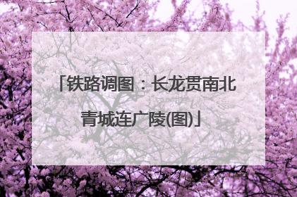铁路调图：长龙贯南北 青城连广陵(图)